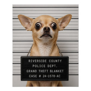 Pôster Foto de Mugshot de Chihuahua: Grande Roubo de Cobe