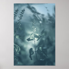 Poster Foto de natureza floral