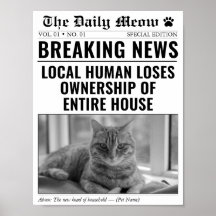 Foto de notícias de última hora de jornal de gato