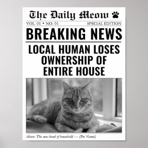 Poster Foto de notícias de última hora de jornal de gato