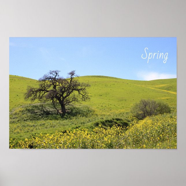 Poster Foto de Oak Natureza de Flores Selvagens Hillside (Frente)