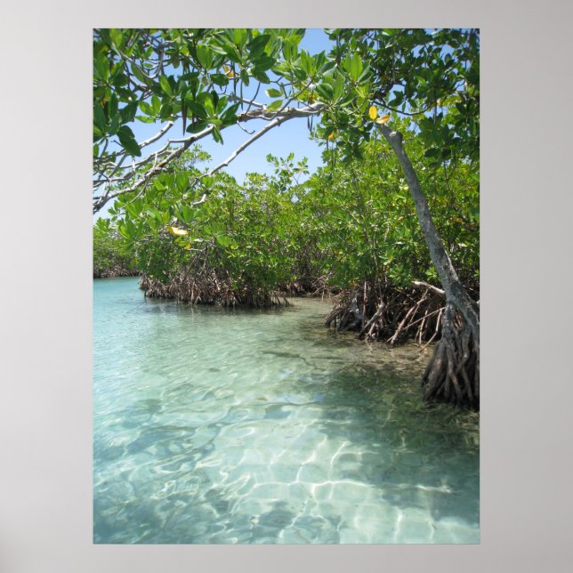 Pôster Foto de Porto Rico (Frente)