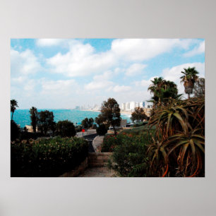 Pôster Foto de Tel Aviv do parque de Abrasha, Jaffa,