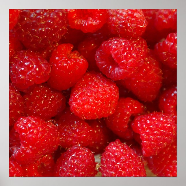 Poster Foto deliciosa de framboesa rosa-escuro (Frente)