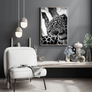 Poster Foto do animal da Jaguar preto e branco