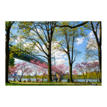 Foto do Astoria Park