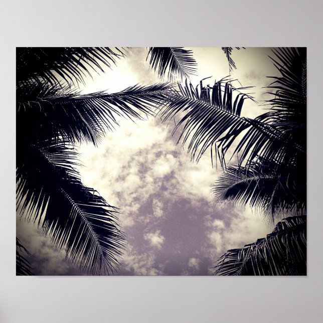 Pôster Foto do Decor da Praia da Árvore Preta e Branca (Frente)