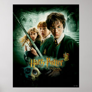 Poster Foto do Grupo Harry Potter Ron Hermione Dobby