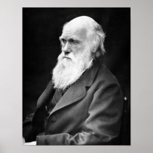 Pôster Foto do retrato de Charles Darwin