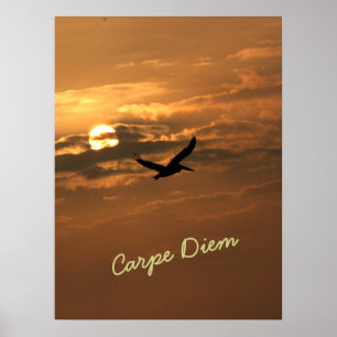 Poster Foto Dourada Sunrise Carpe Diem Ocean