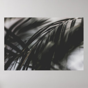 Poster FOTO EM ESCALA cinza DAS FOLHAS VEGETAIS