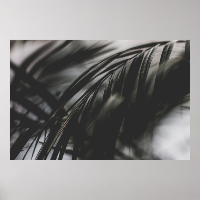 Poster FOTO EM ESCALA cinza DAS FOLHAS VEGETAIS (Frente)