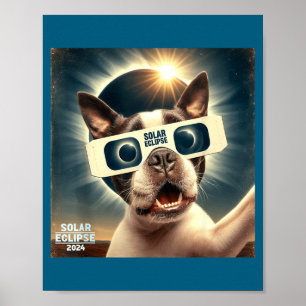 Poster Foto Engraçada de Boston Terrier Feminino Masculin