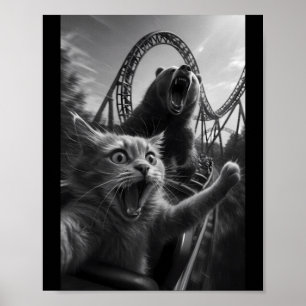 Poster Foto engraçada de gato com montanha-russa de urso