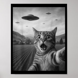 Poster Foto engraçada de gato surpreso com alienígena OVN
