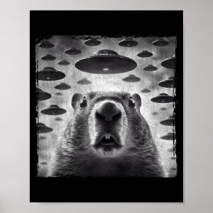 Poster Foto engraçada de marmota com alienígenas Ufos Mar