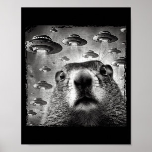 Poster Foto engraçada de marmota com alienígenas Ufos Mar