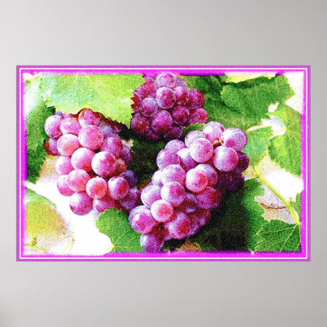 Poster Foto "Fábrica de Frutas de Uvas". Compre agora (Frente)