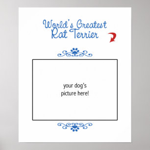 Pôster Foto feita sob encomenda! O grande rato Terrier