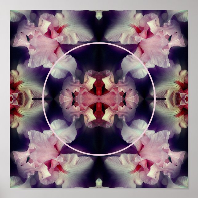 Poster Foto: Flor Íris Rosa Crie a sua própria fotografia (Frente)