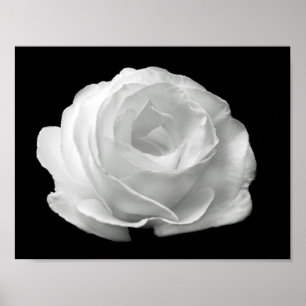 Poster foto floral preto e branco vibrante