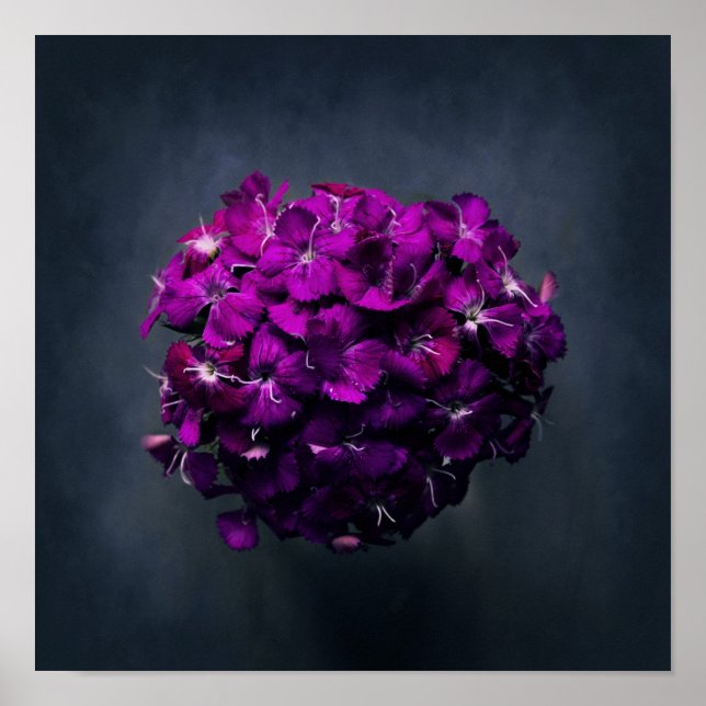 Poster Foto Floral Roxo Vibrante (Frente)