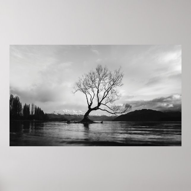POSTER FOTO GRAYSCALE DA ÁRVORE BARATA NO CORPO CALMO DE  (Frente)