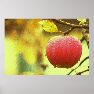 Poster Foto "Maçã Vermelha". Compre agora