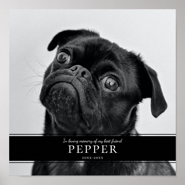 Poster Foto memorial moderna de cachorro de estimação em  (Frente)