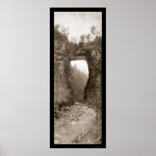 Pôster Foto natural 1909 do VA da ponte