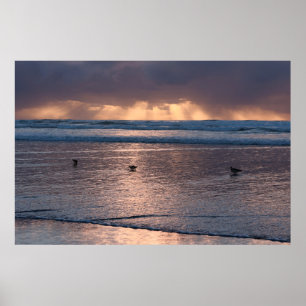 Poster Foto natural de Sunset Coast Beach Birds