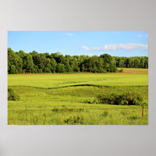 Poster Foto Paisagem