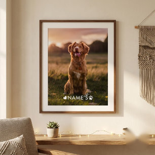 Pôster Foto Personalizada Com O Nome Do Seu Cachorro