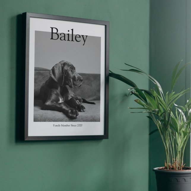 Poster Foto personalizada da Revista Retrato Pet Exclusiv (Criador carregado)