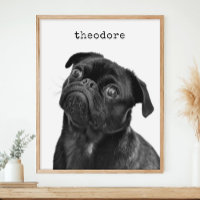 Foto Personalizada de Cachorro Nome Minimalista Pa