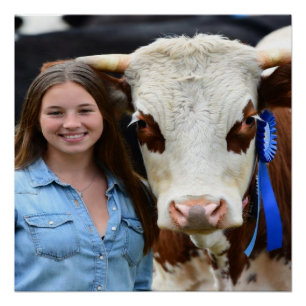 Pôster Foto Personalizada de Vaca de Exposição de Gado