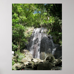 Pôster Foto quadro Puerto Rico do EL Yunque