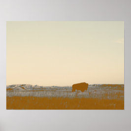 Poster Foto Rustic Lone Buffalo Das Badlands