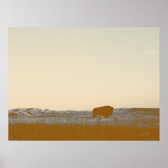 Poster Foto Rustic Lone Buffalo Das Badlands (Frente)