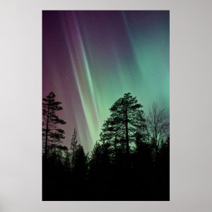 POSTER FOTO SILHOUETTE DA AURORA BOREALIS