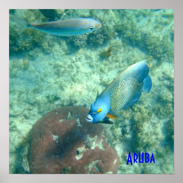 Poster Foto submarina de Aruba (Frente)