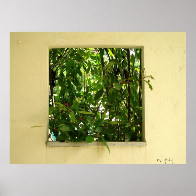 Poster fotografia (Frente)