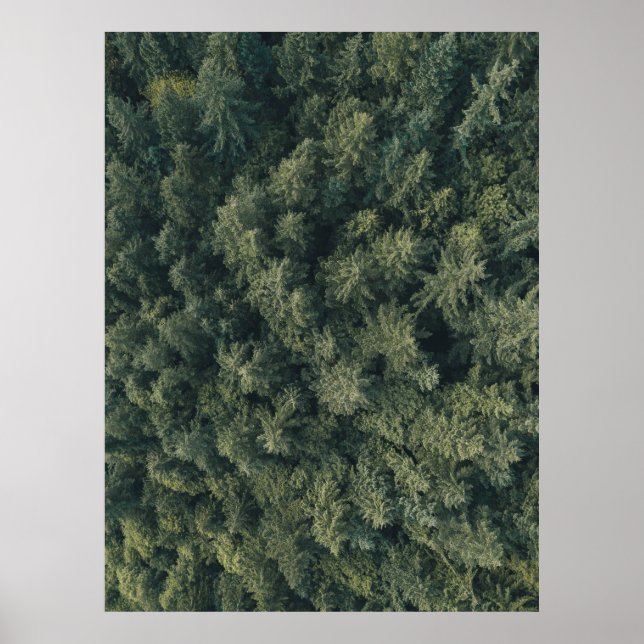 Poster Fotografia aérea de árvores verdes (Frente)