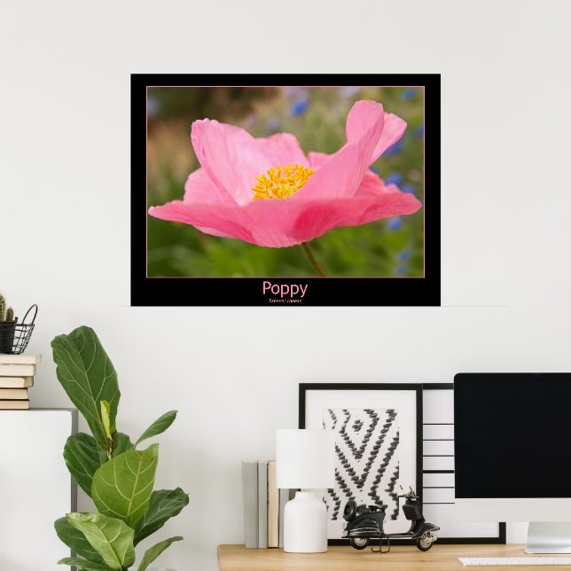 Poster Fotografia aproximada de papoula rosa emoldurada a (Escritório em casa)
