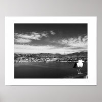 Fotografia Branca e Preta de Pássaro Curioso