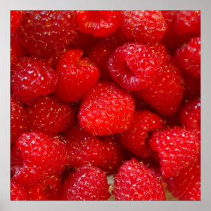 Poster Fotografia cor-de-rosa escura bonito deliciosa da