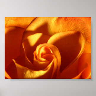 Pôster Fotografia da beleza do Rosa sunset