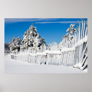 Pôster Fotografia da cerca do esqui da neve