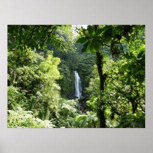 Poster Fotografia da Floresta Tropical de Trafalgar Falls