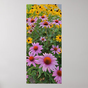 Poster Fotografia da natureza das flores de cono, rosa e 